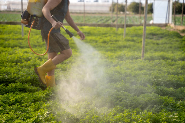 Best Local Pest Control Services  in Lake Darby, OH