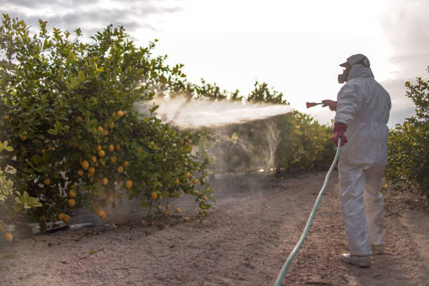 Best Wasp Removal Services  in Lake Darby, OH
