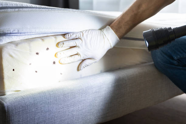 Best Local Pest Control Services  in Lake Darby, OH
