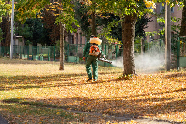 Wasp Removal Services in Lake Darby, OH