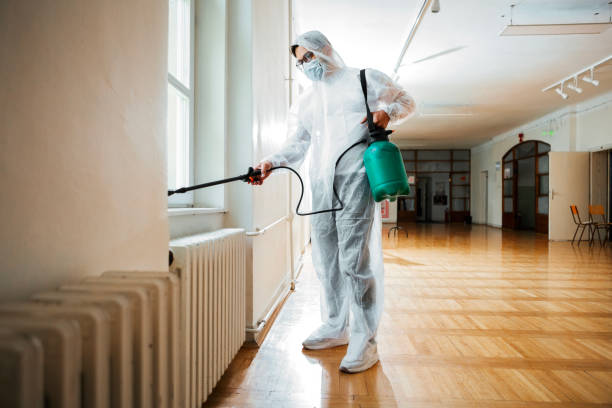 Best Wasp Removal Services  in Lake Darby, OH